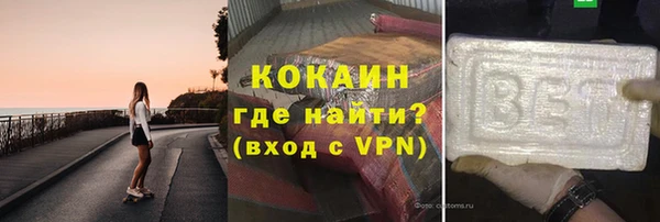 стаф Алексин