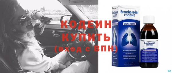 индика Абинск