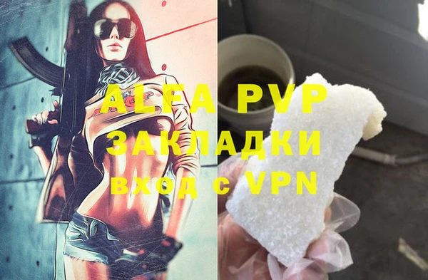 стаф Алексин