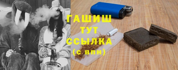 индика Абинск