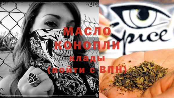 индика Абинск