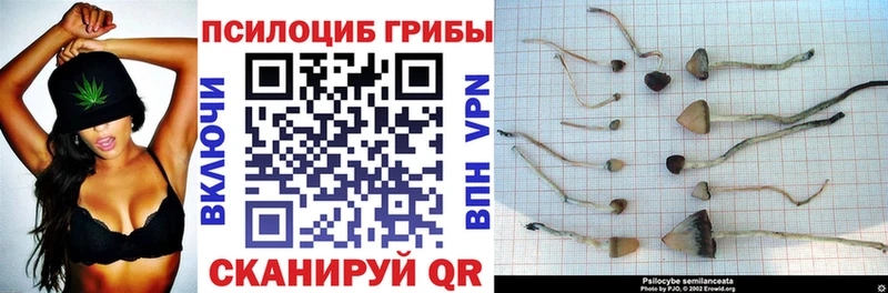 закладка  Ясный  MEGA ссылка  Галлюциногенные грибы MAGIC MUSHROOMS 